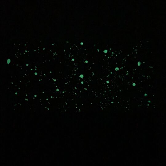 AURORA FIELDS