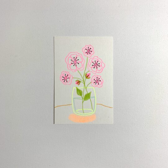 POSTCARD - CAMELIA