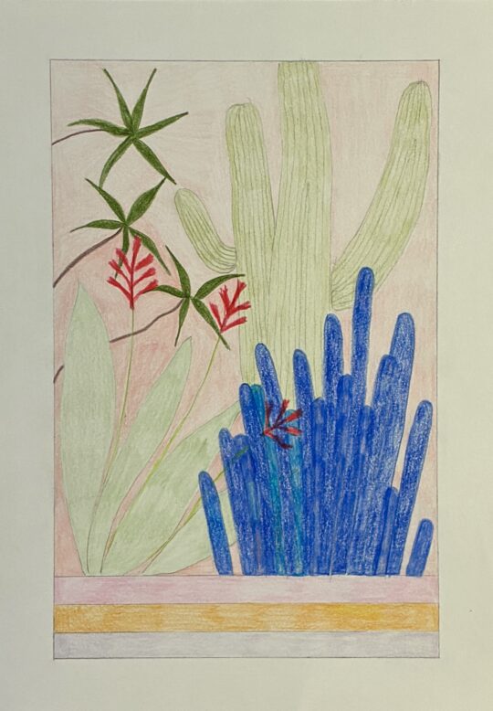 BOTANICAL SERENADE - Hand-Drawn Succulent & Cactus Art