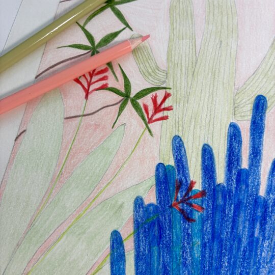 BOTANICAL SERENADE - Hand-Drawn Succulent & Cactus Art