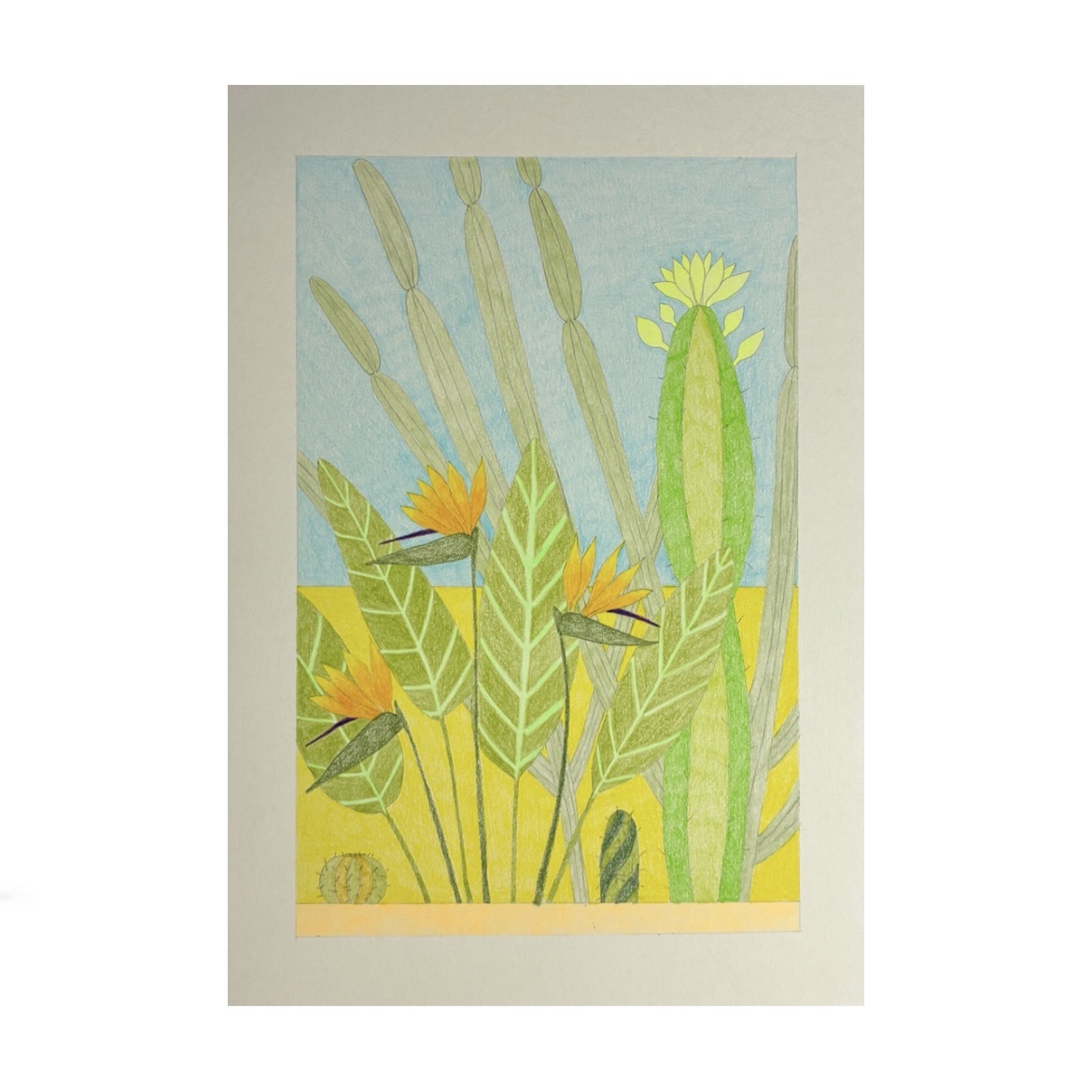 DESERT BLOOM